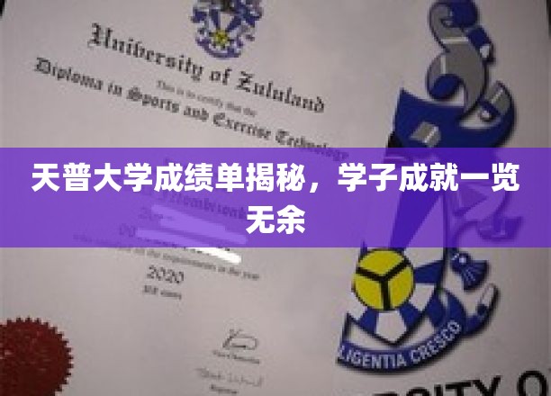 天普大学学子风采大揭秘，成绩单上的辉煌成就一览