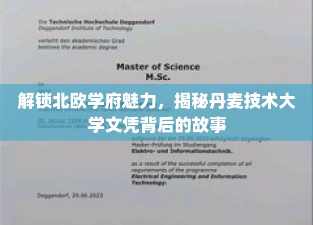 探寻丹麦技术大学文凭的北欧魅力之旅