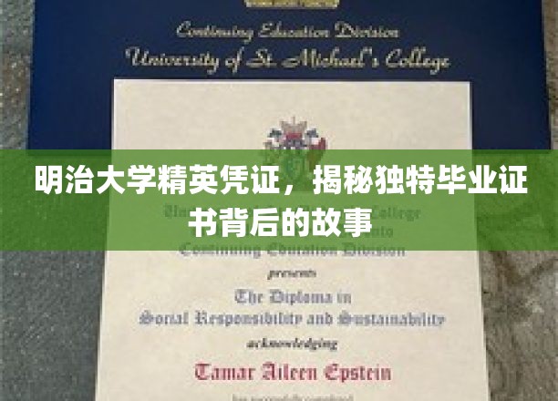 明治大学独家毕业证书，探寻精英背后的非凡历程