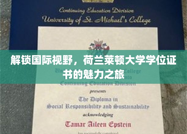解锁国际视野，荷兰莱顿大学学位证书的魅力之旅