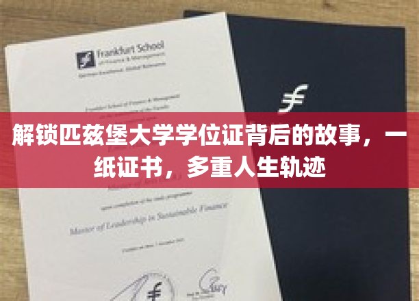 匹兹堡大学学位证，揭开成就背后的多元人生篇章
