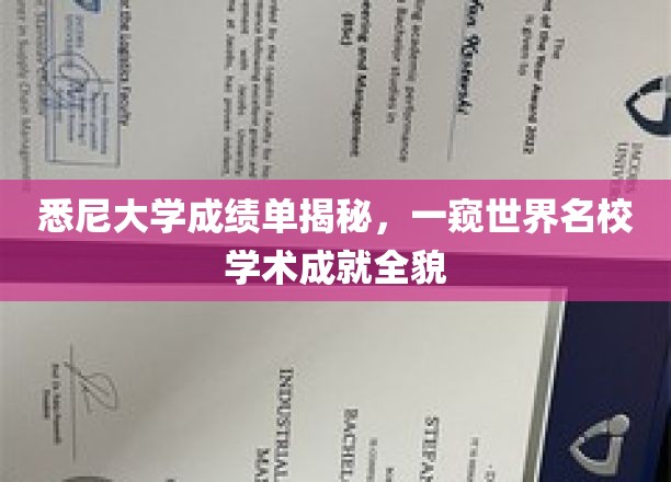 悉尼大学学霸秘籍，探秘顶尖学府的学术风采