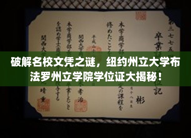 揭秘纽约州立大学布法罗州立学院学位证背后的名校传奇