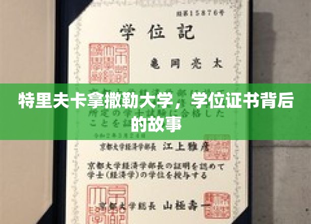 揭开特里夫卡拿撒勒大学学位证书的神秘面纱