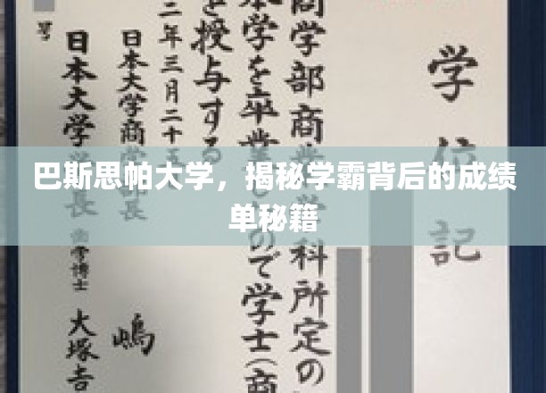 巴斯思帕学霸养成记，揭秘高效学习背后的神秘力量