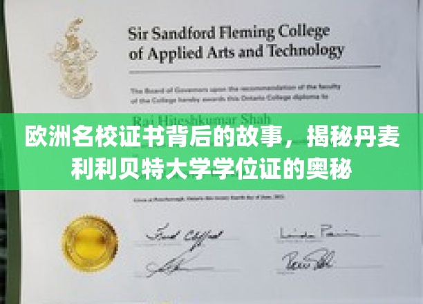 欧洲名校证书背后的故事，揭秘丹麦利利贝特大学学位证的奥秘