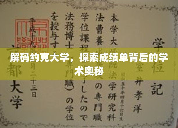 揭秘约克大学，揭开成绩单背后的学术秘密面纱