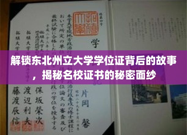 东北州立大学学位证背后的传奇，一探名校证书的神秘起源
