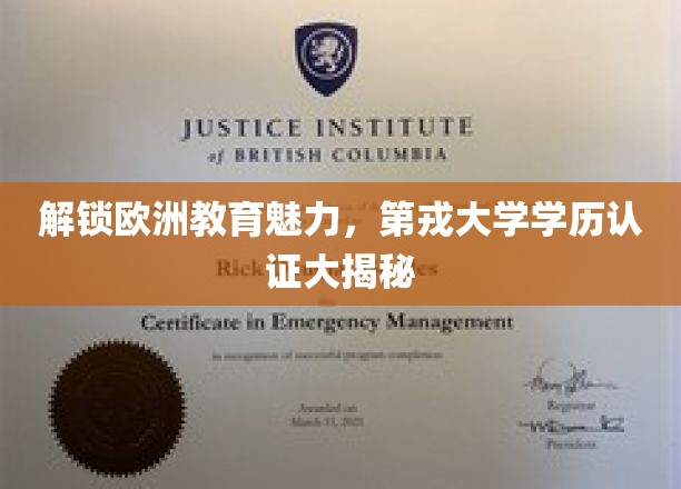 探秘欧洲学府之魅，第戎大学学历认证背后的秘密揭晓