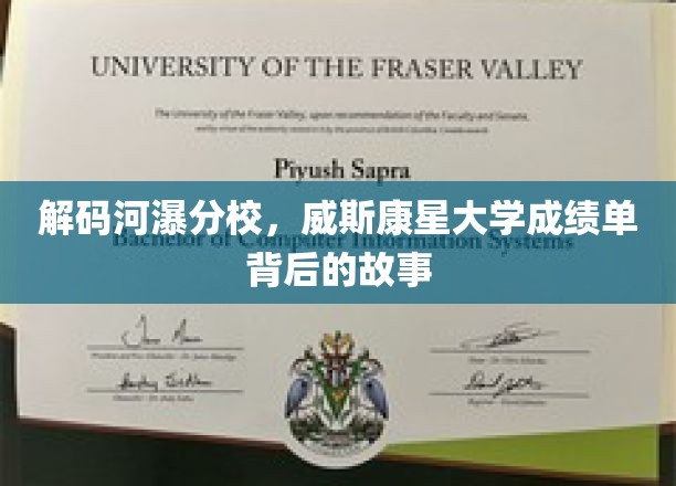 探索河瀑分校，揭秘威斯康星大学成绩单背后的故事