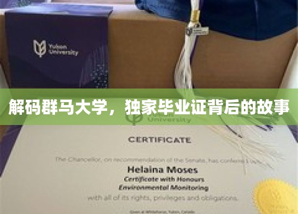 群马大学毕业证之谜，揭秘独特学历背后的传奇故事