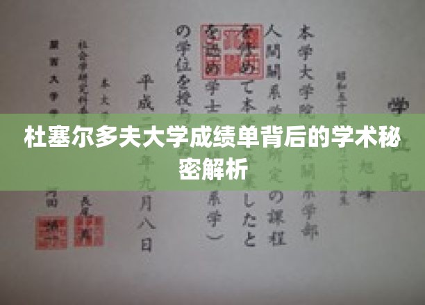 揭开杜塞尔多夫大学成绩单的神秘面纱，探究学术成就的深层奥秘