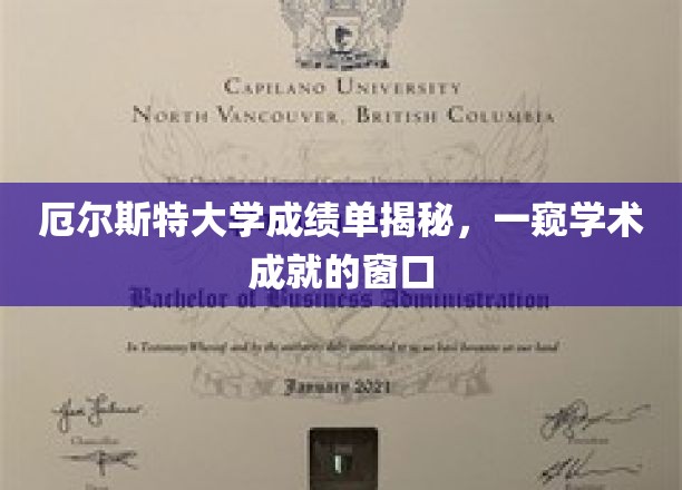 厄尔斯特大学成绩单揭秘,一窥学术成就的窗口