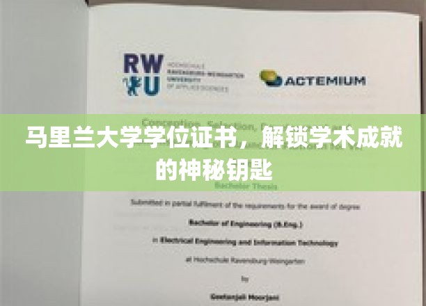 马里兰大学学位证书，开启学术成就之门的钥匙