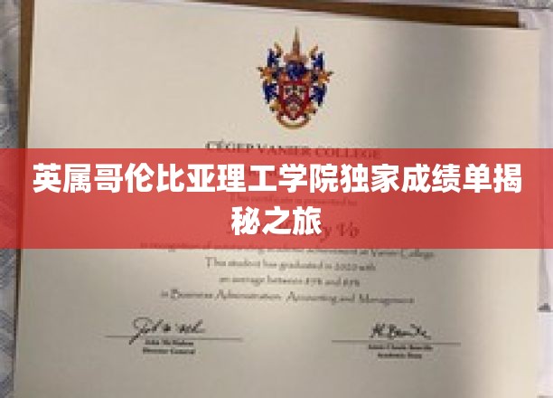 解码英属哥伦比亚理工学院，独家成绩单背后的故事