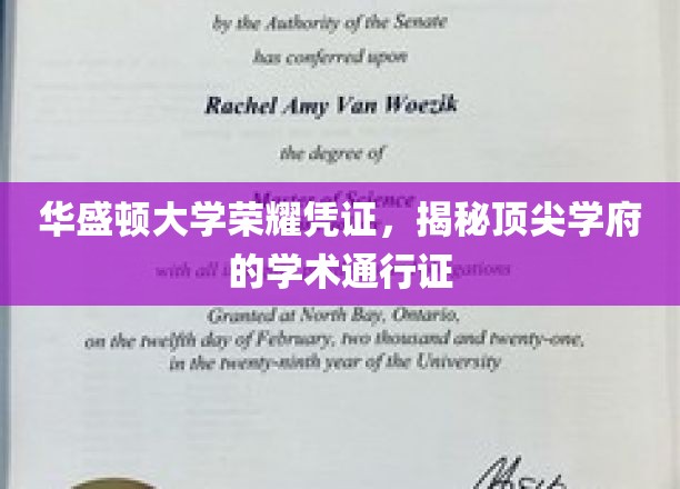 解码华盛顿大学，探寻精英教育的金钥匙