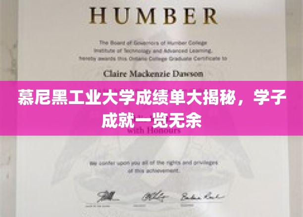 解码慕尼黑工业大学学子辉煌，成绩单背后的精英风采