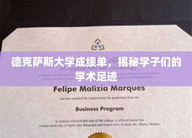 德克萨斯大学成绩单，展现学子们的学术足迹