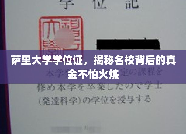 萨里大学学位证书，揭秘名校背后的真金不怕火炼