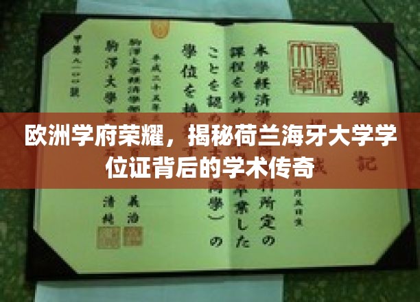 欧洲学府荣耀，揭秘荷兰莱顿大学学位证背后的学术传奇