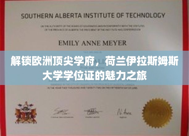 解锁欧洲顶尖学府，荷兰伊拉斯姆斯大学学位证的魅力之旅