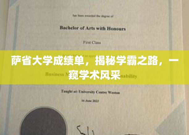 解码学霸奥秘，萨省大学成绩单背后的学术风采探秘