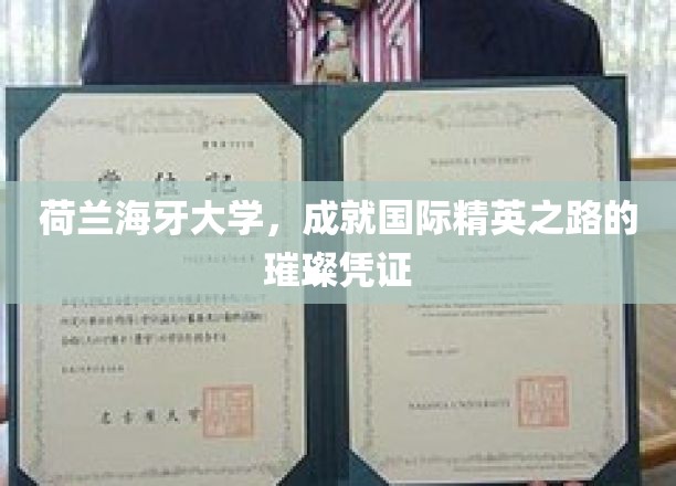 欧洲精英摇篮，荷兰海牙大学铸就国际人才通行证