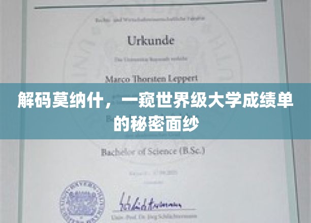 揭开莫纳什大学卓越成绩背后的神秘力量