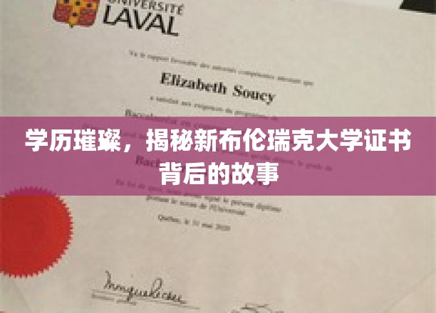 学历璀璨，揭秘新布伦瑞克大学证书背后的故事