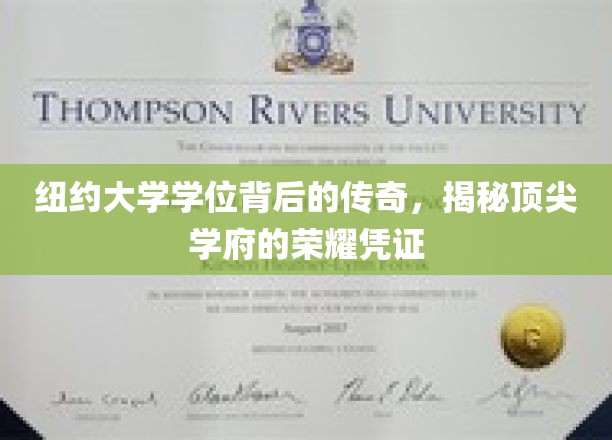 纽约大学学位背后的传奇，揭秘顶尖学府的荣耀凭证