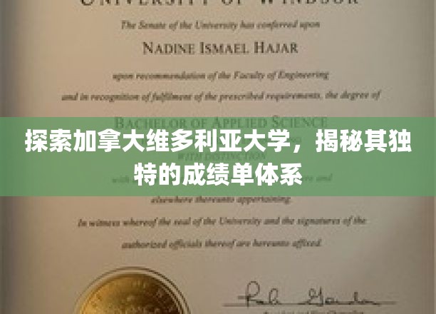 解锁维多利亚大学，揭秘加拿大顶尖学府的个性化成绩单奥秘