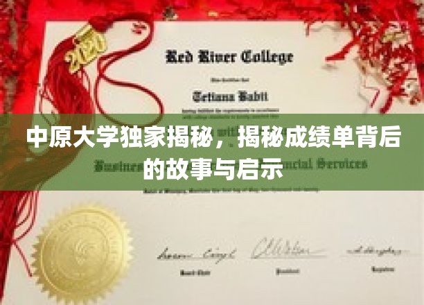 解码中原大学成绩单，背后的故事与成长启示录