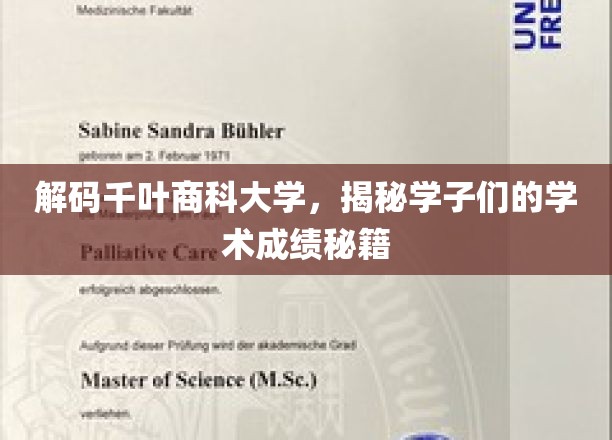 探寻千叶商科大学学霸养成记，揭秘学术卓越背后的秘诀