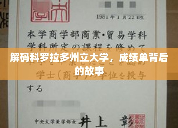 解码科罗拉多州立大学，成绩单背后的故事