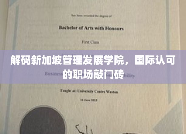 解码新加坡管理发展学院，国际认可的职场敲门砖