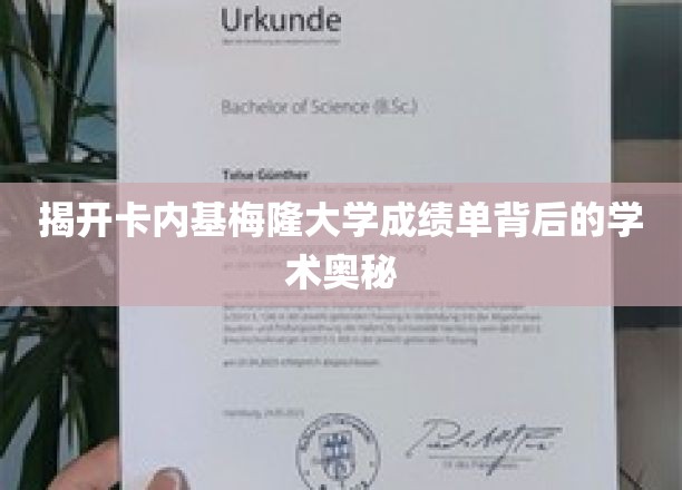 解码卡内基梅隆大学成绩单，学术成就的秘密面纱