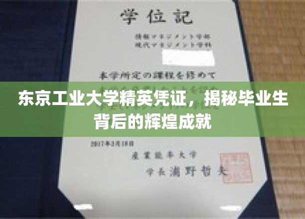 解码东京工业大学荣耀，毕业生成就背后的卓越之路