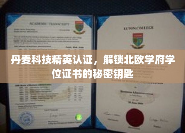 解锁北欧学府学位认证的丹麦科技精英密钥！