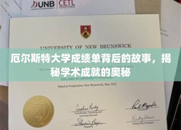 厄尔斯特大学成绩单背后的故事，揭秘学术成就的奥秘