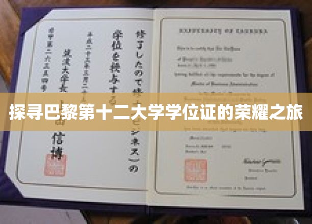 解码巴黎第十二大学，学位证书背后的传奇之旅
