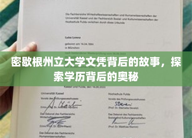 揭开密歇根州立大学文凭的面纱，探寻背后的真实历程