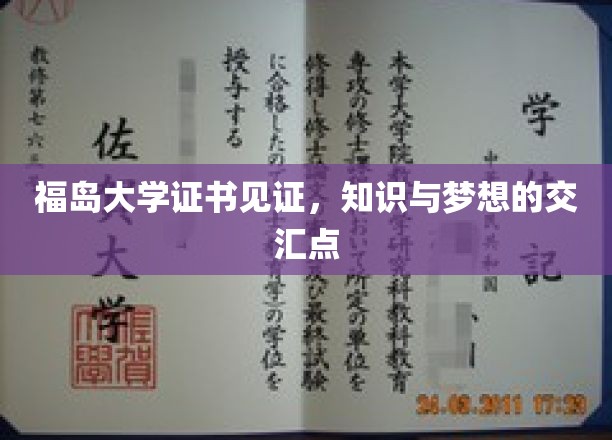 福岛大学荣誉证书，见证知识与梦想的融合