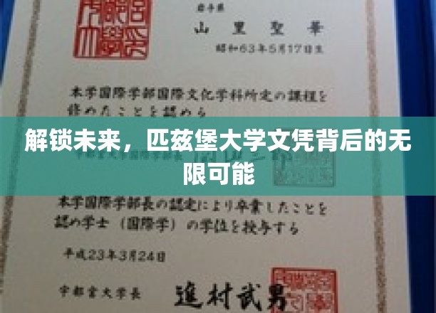 探寻匹兹堡大学文凭的全球通行证，开启无限职业新篇章