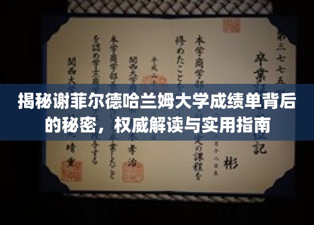 探索谢菲尔德哈兰姆大学成绩单的奥秘，权威解析与实用攻略