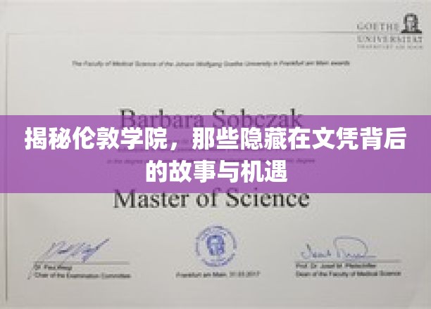 探寻伦敦学院，文凭背后的精彩世界与无限可能