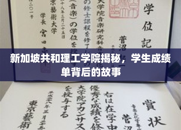 解码新加坡共和理工学院，揭开学生成绩单的神秘面纱