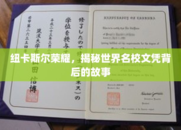 纽卡斯尔荣耀，揭秘世界名校文凭背后的故事