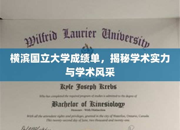 横滨国立大学成绩单，窥见学术实力与风采的独特窗口