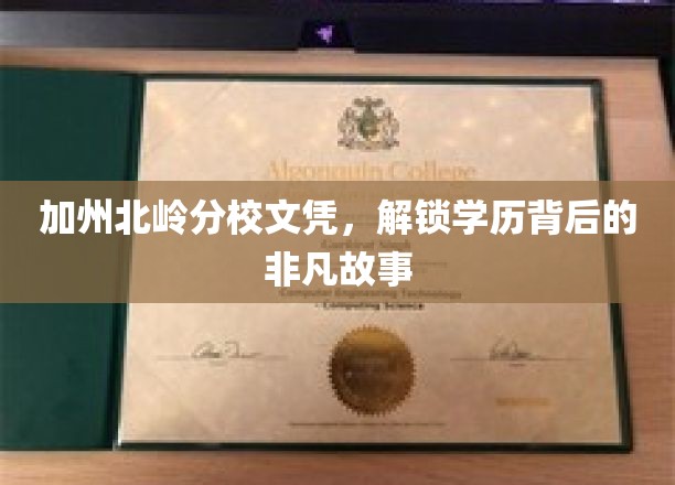 加州北岭分校文凭，解锁学历背后的非凡故事