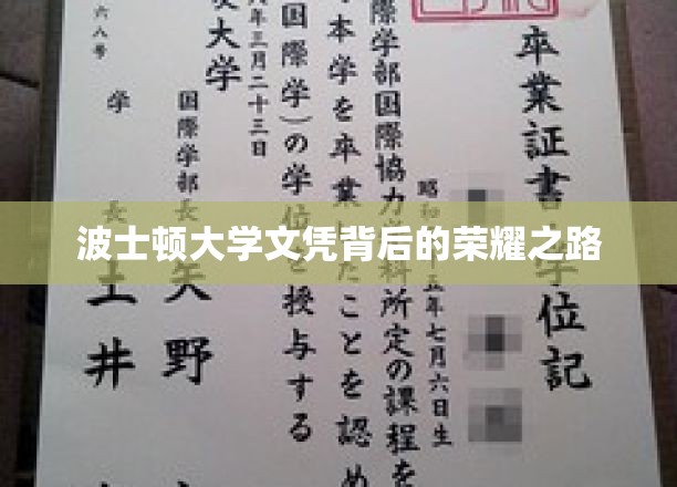 波士顿大学文凭背后的荣耀之路